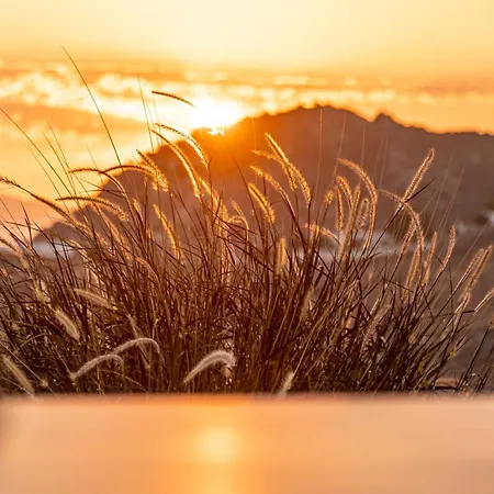 Sunshine 米科利维亚